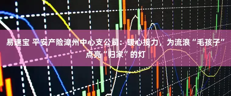 易速宝 平安产险漳州中心支公司：暖心接力，为流浪“毛孩子”点亮“归家”的灯