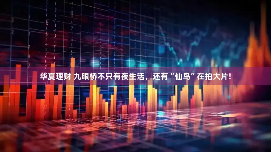华夏理财 九眼桥不只有夜生活，还有“仙鸟”在拍大片!